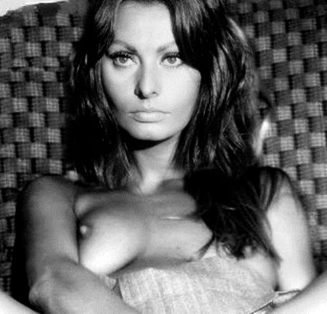Sophia Loren ("The Italian Bombshell") 59 Sophia+Loren+(36)