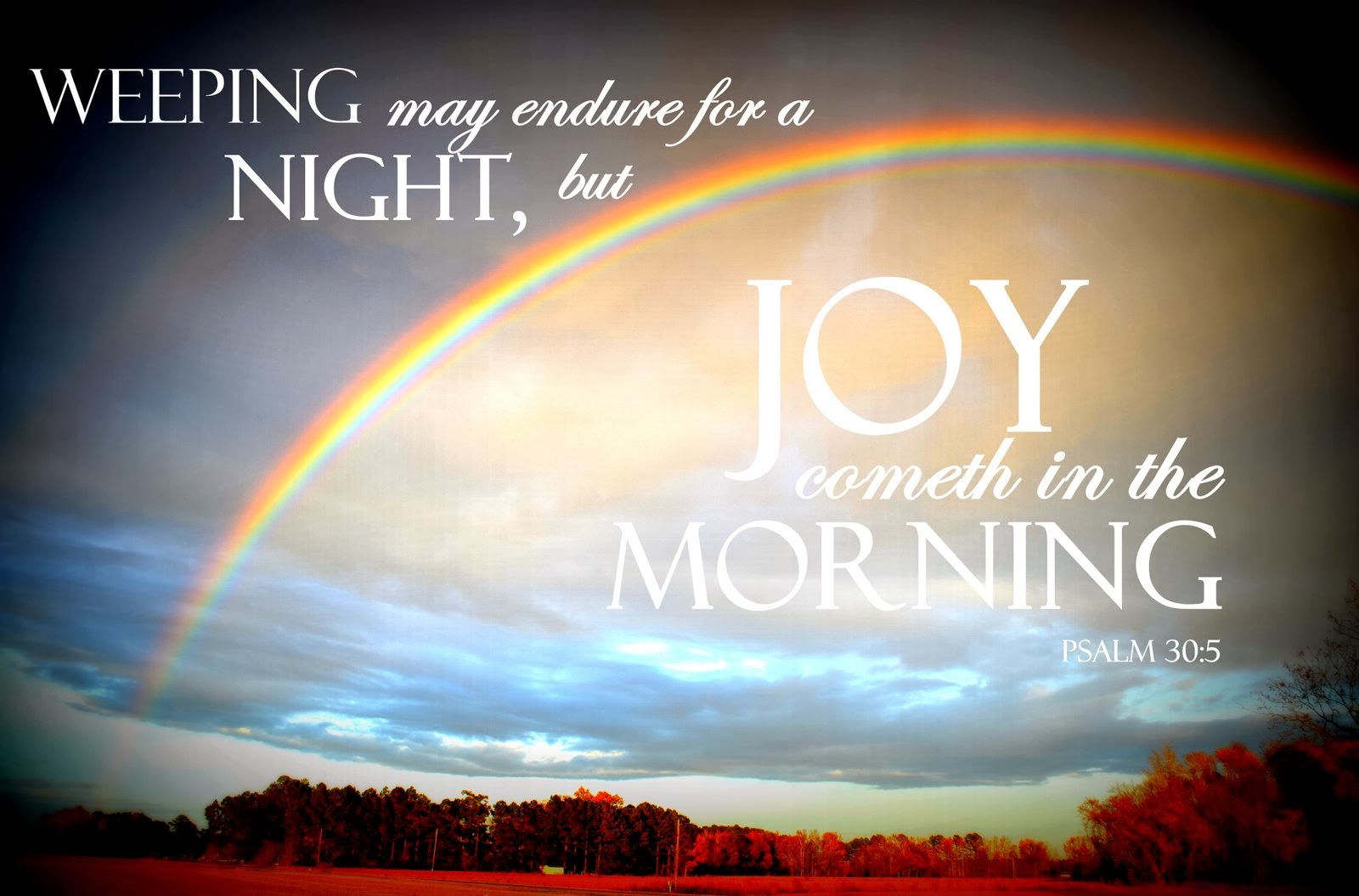 Bible Quotes About Rainbows. QuotesGram