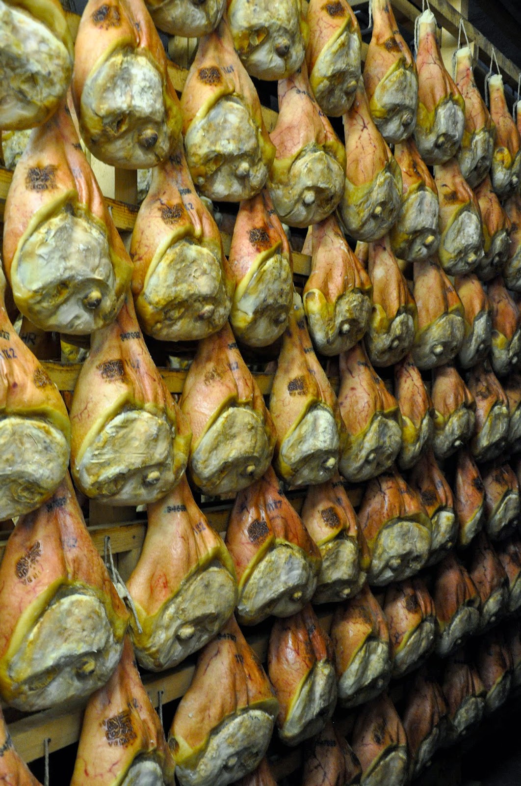 Prosciutto being dry cured