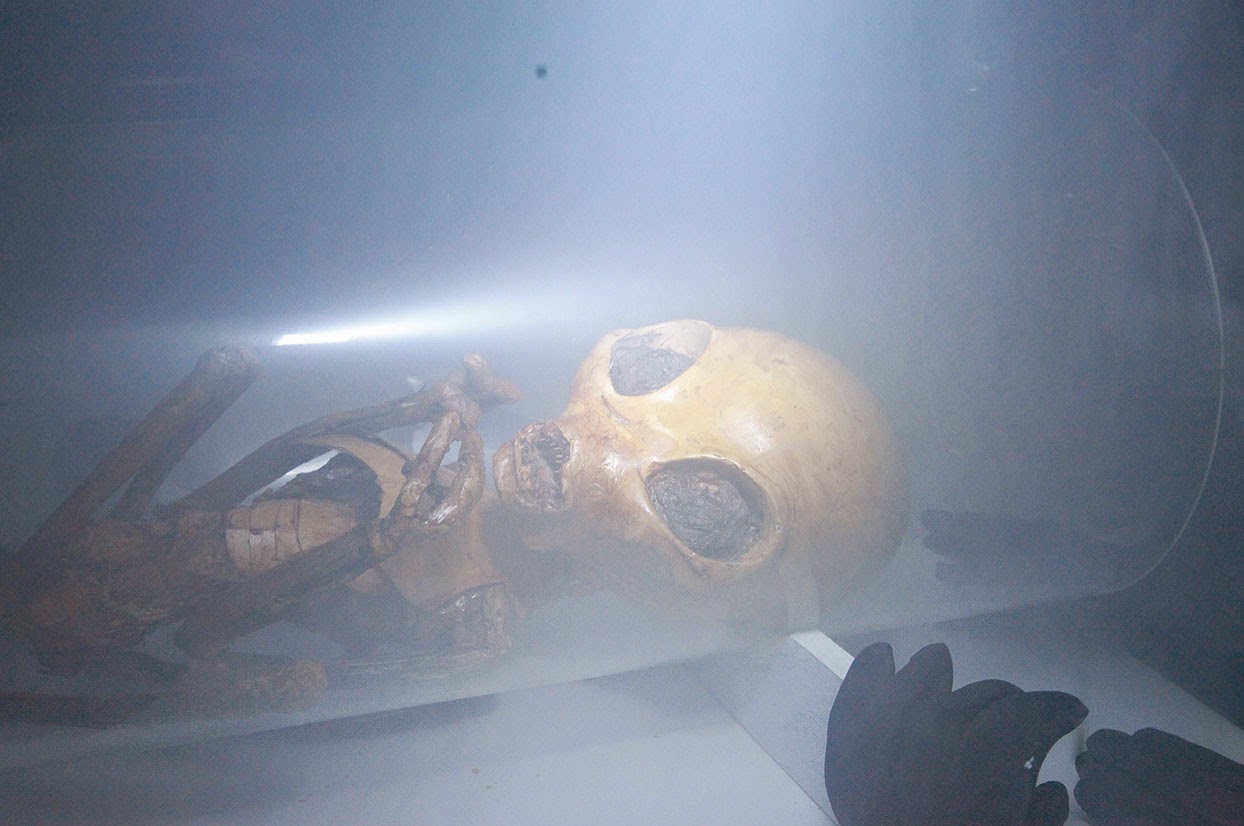 Geheimsache Red Alien 2015