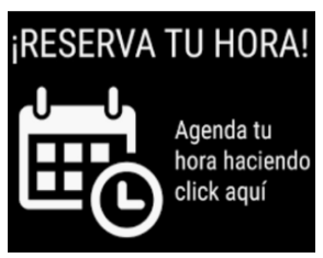 HORAS ON LINE