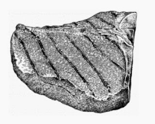 Searing-The Secret To The Perfect Steak Searing-The Secret To The Perfect Steak