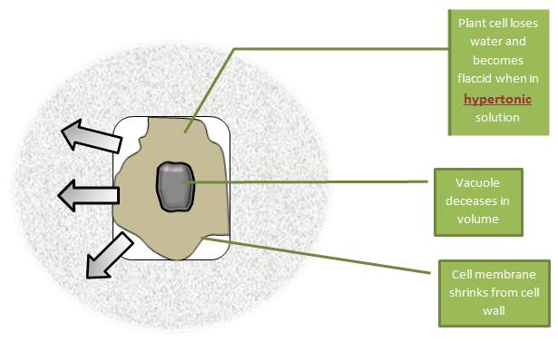 effect of different alkaline solution on Abstract this study focuses on the influence of some strong bases solutions of alkaline ammonium hydroxide (nh4oh), sodium hydroxide (naoh) and. effect of different alkaline solution on Abstract this study focuses on the influence of some strong bases solutions of alkaline ammonium hydroxide (nh4oh), sodium hydroxide (naoh) and.