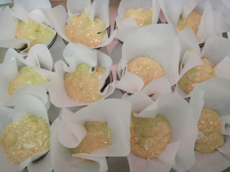 PolkaDotty Place Parchment Paper Cupcake Liners