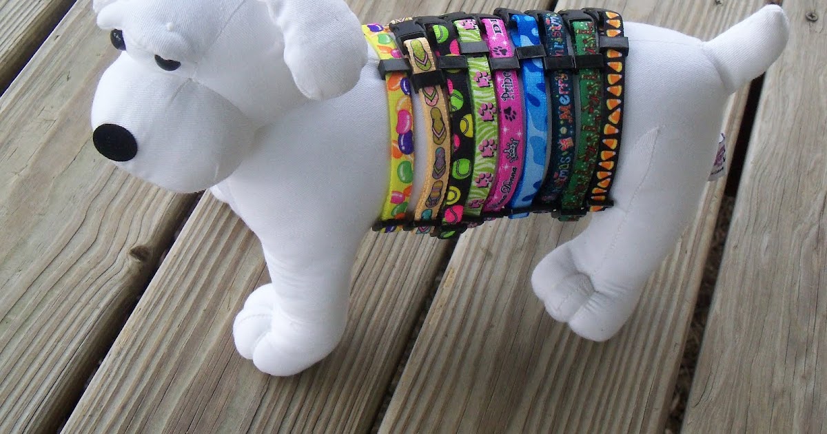 Dog Eared Introducing Doodle the Dummy Dog