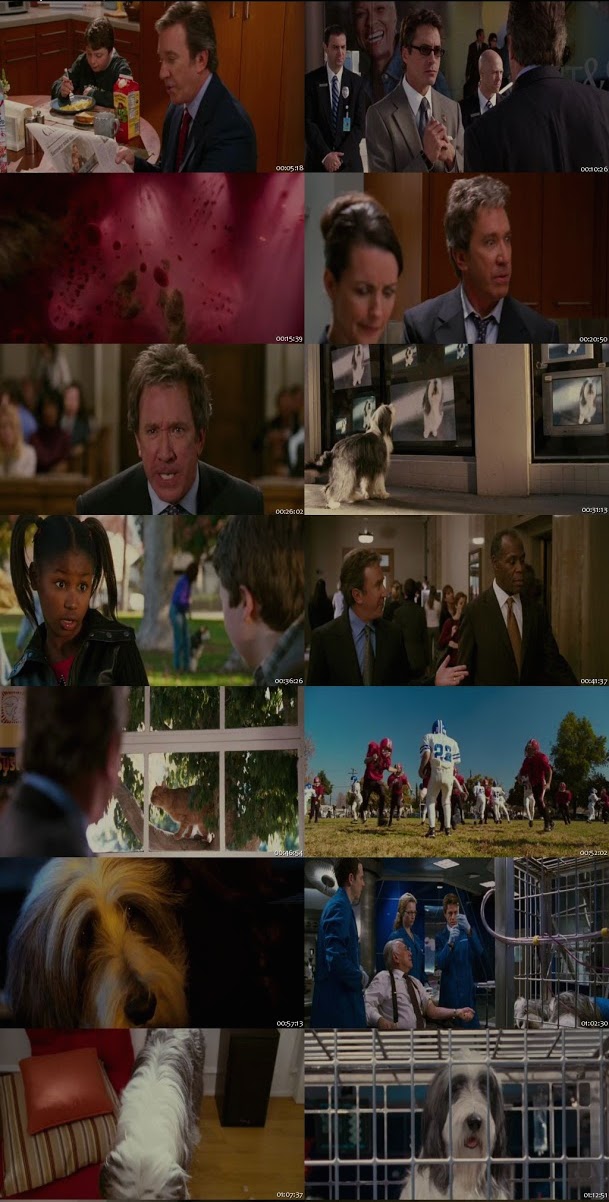 The Shaggy Dog 2006 Dual Audio Hindi 720p BluRay 950MB