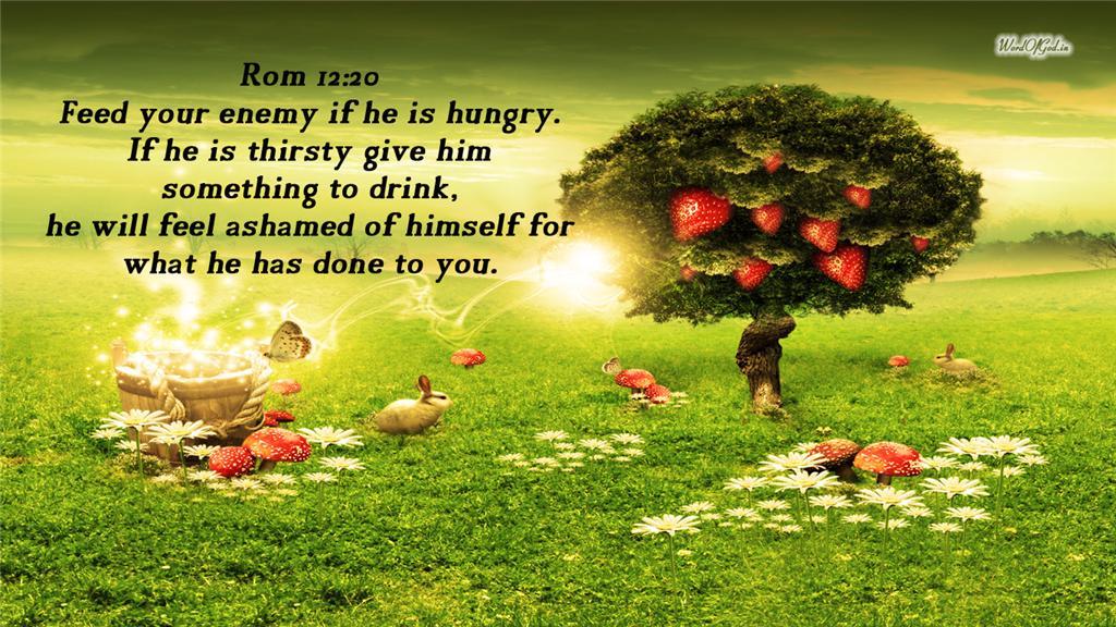 christmas cards 2012 easter bible verse wallpaper