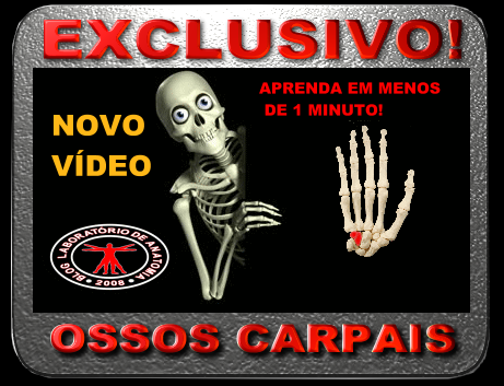 NOVO VÍDEO DO BLOG: