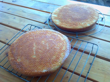 Sugar Shack Cake Decorating Sugar Shack Cake Decorating