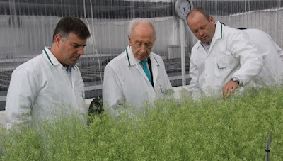 Una firma israelí anunció un gran avance en el desarrollo de insecticidas