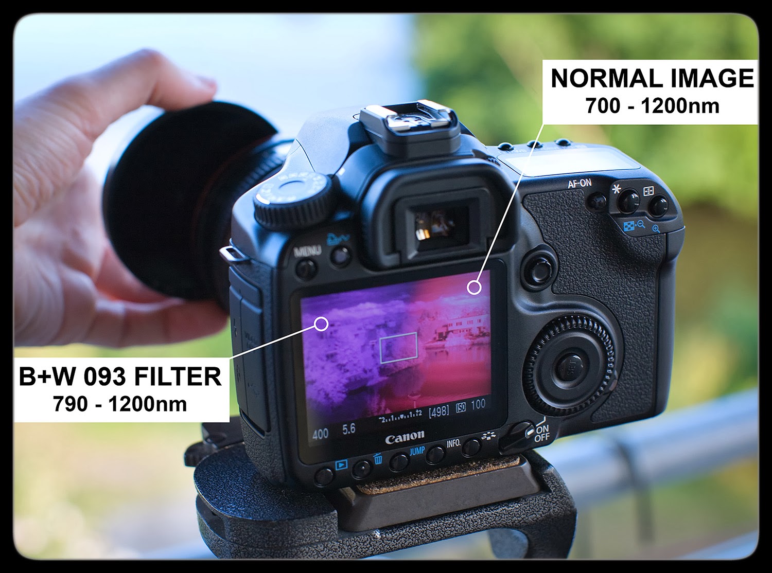 InfraEdd Cameras Canon 40D (Converted to infrared only 700nm)