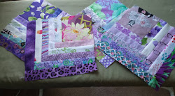 Gray Cat Quilts - Recent Work