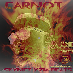Get to know Carnot  SkynetYzia