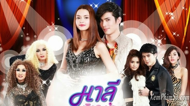 Ngôi Sao Hiểu Lòng Anh Ngôi Sao Hiểu Lòng Anh