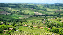 Paysage du Chianti