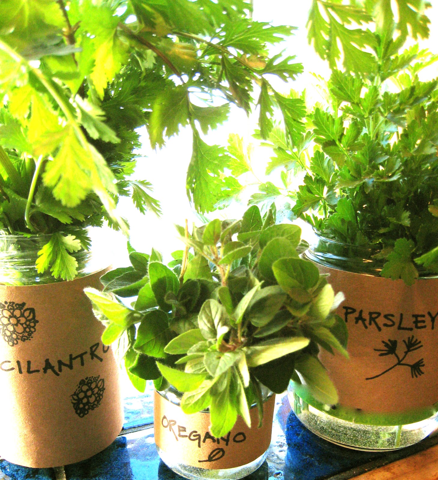 Thrifty Nifty Things Glass Herb Vase