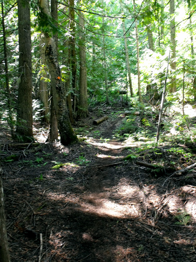 Okanagan Jen Scotch Creek Trail Opening