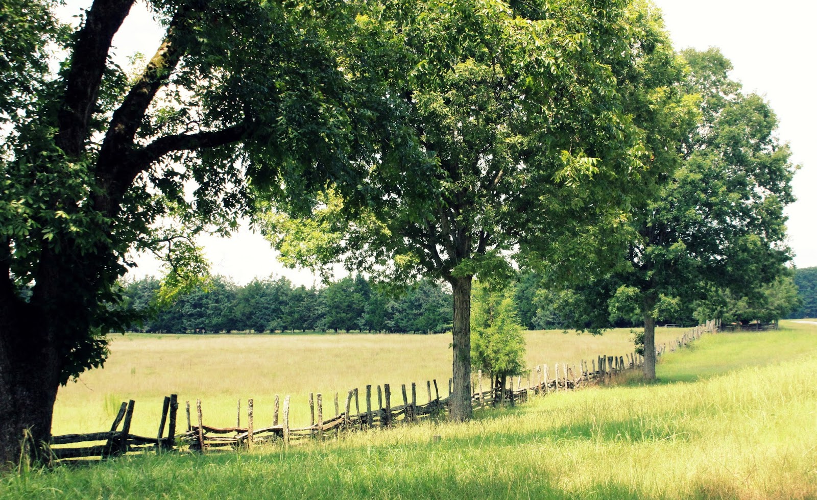 Italian Girl in Rural Road Trip