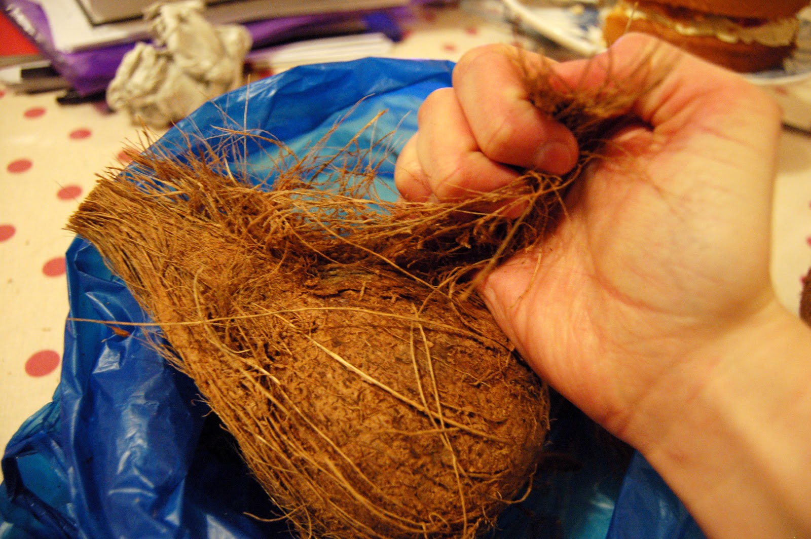 Paper Yak How to make a Coconut Bra [Photo Heavy]