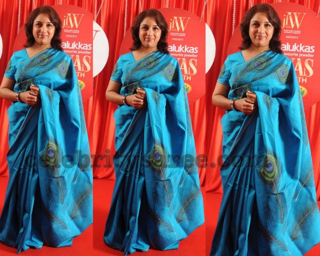 Revathy in Sky Blue Paint Saree