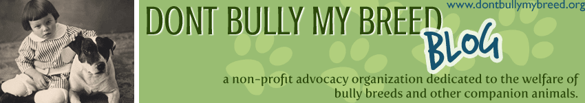 The Official Dont Bully My Breed Blog