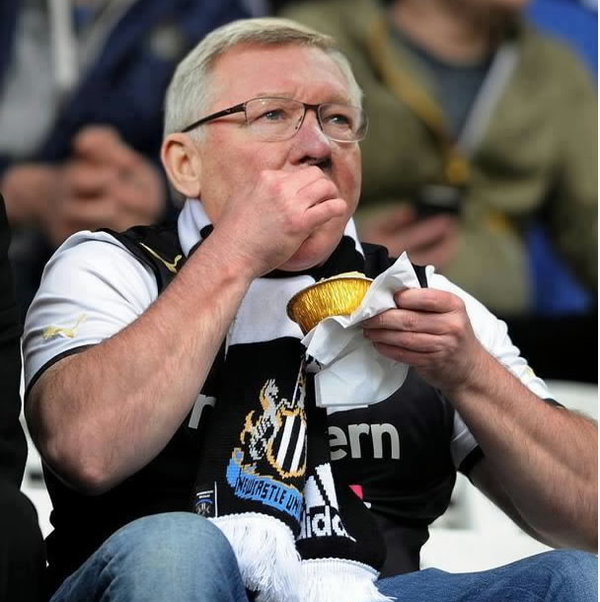 Light Tuesday. Funny Pics.