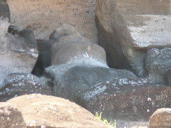 The Cradle: Nose 'n Chin Emerge between carving channels, Quarry, Rano Raraku Crater, Easter Island