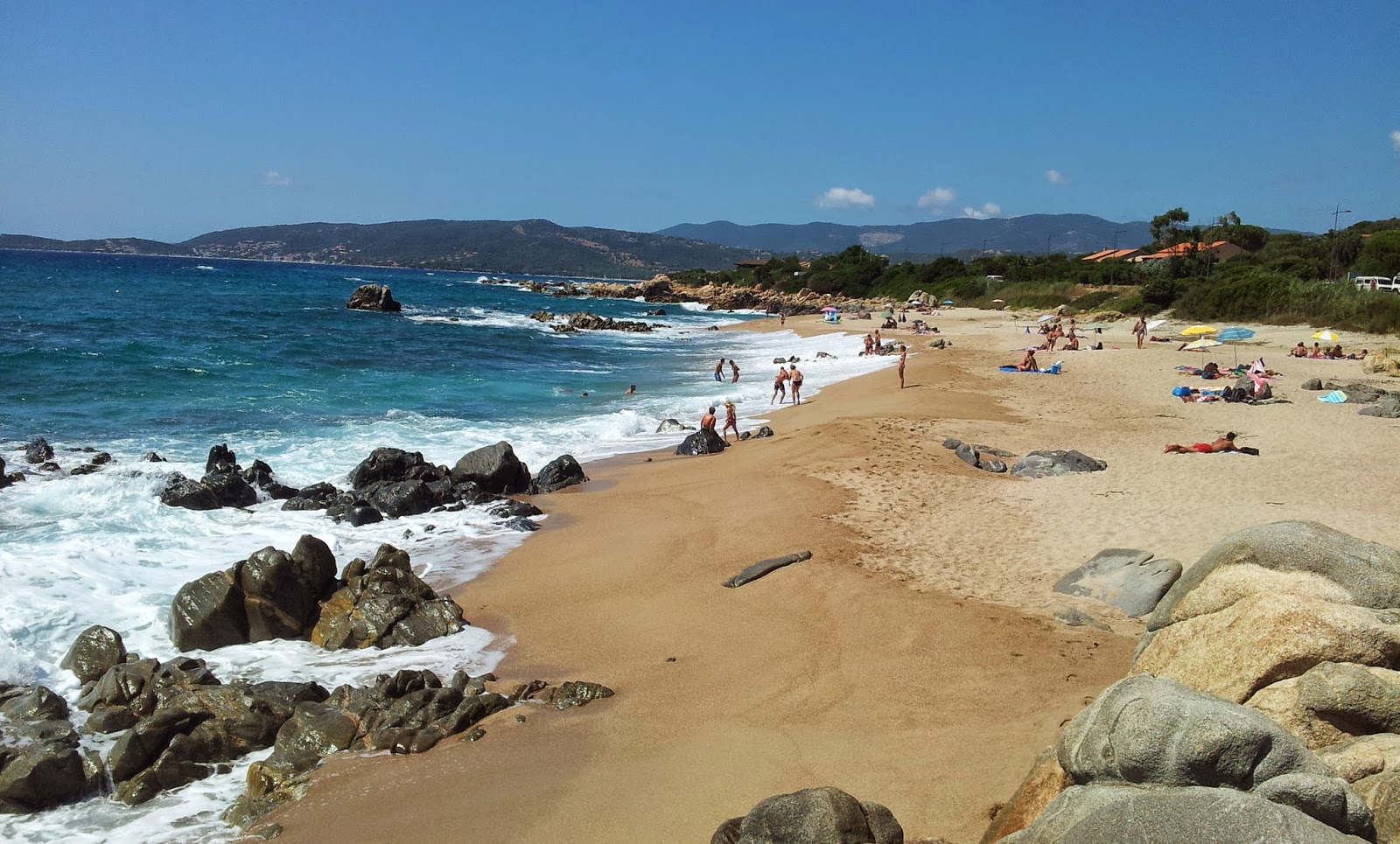 Quallen am Strand von Olmeto Plage