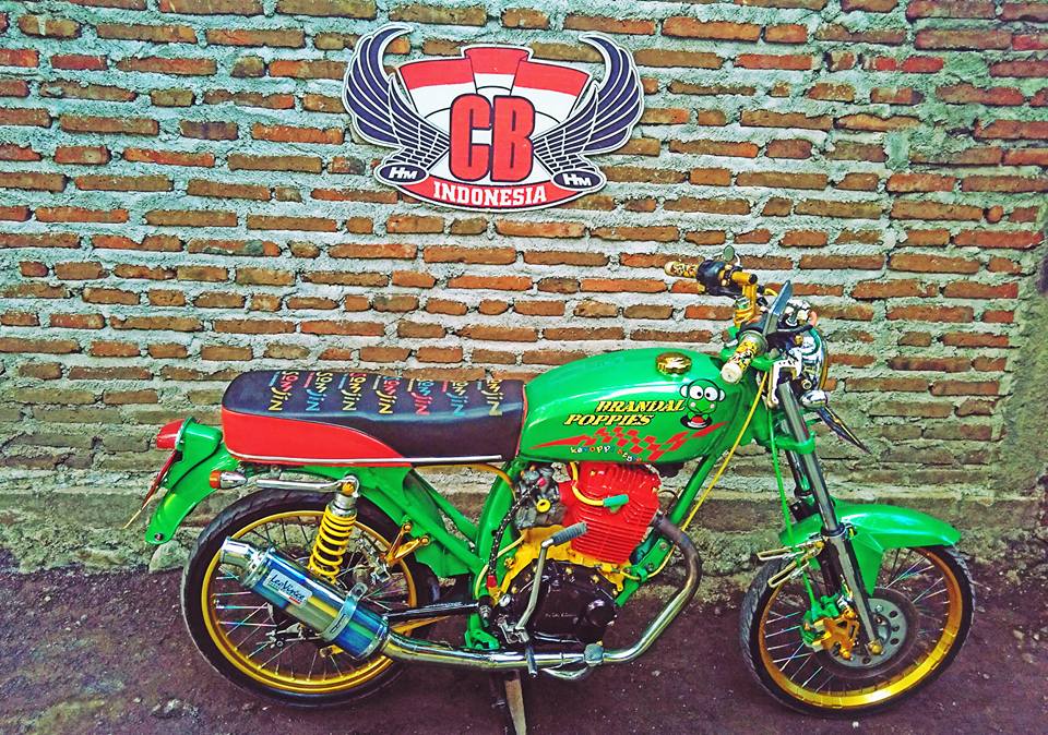 Download Cat Rumah Ijo Lumut Pics