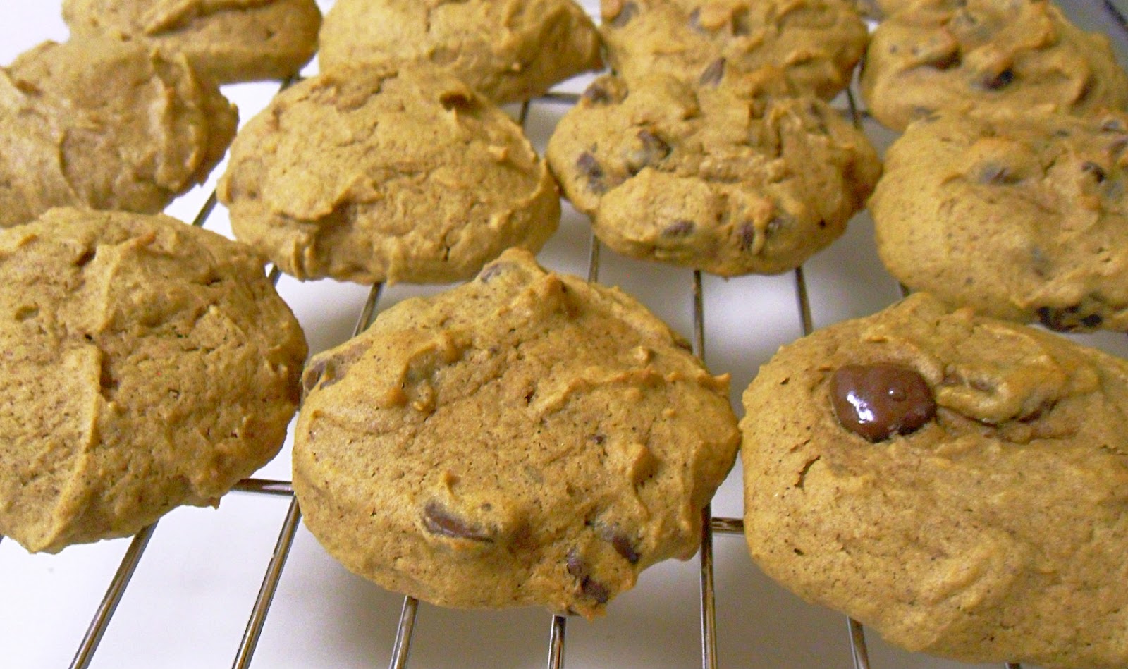 Cooking to Perfection Pumpkin Biscoff Cookies