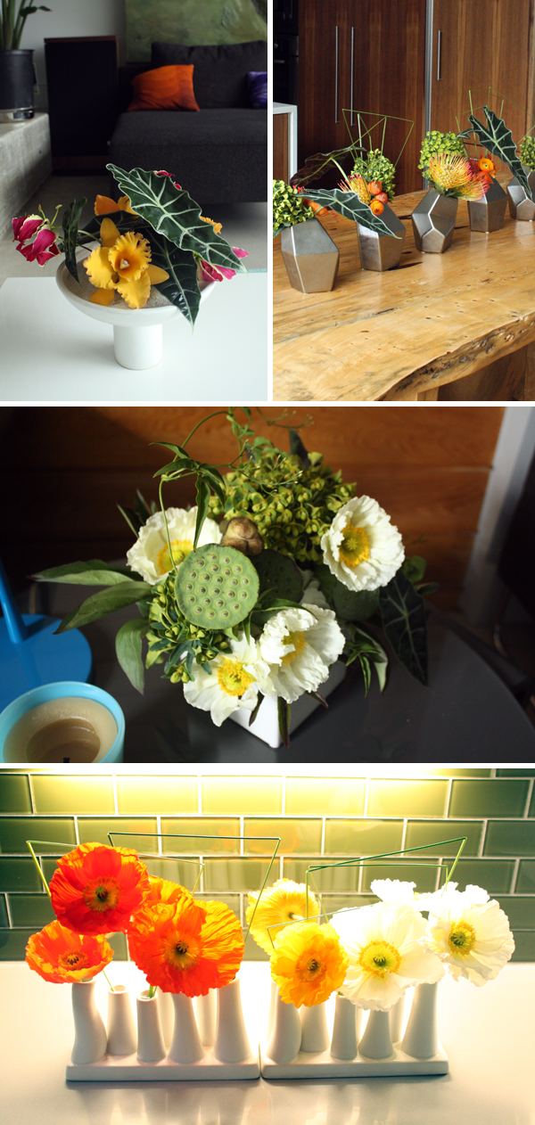 crosspollination flowers for the modern home