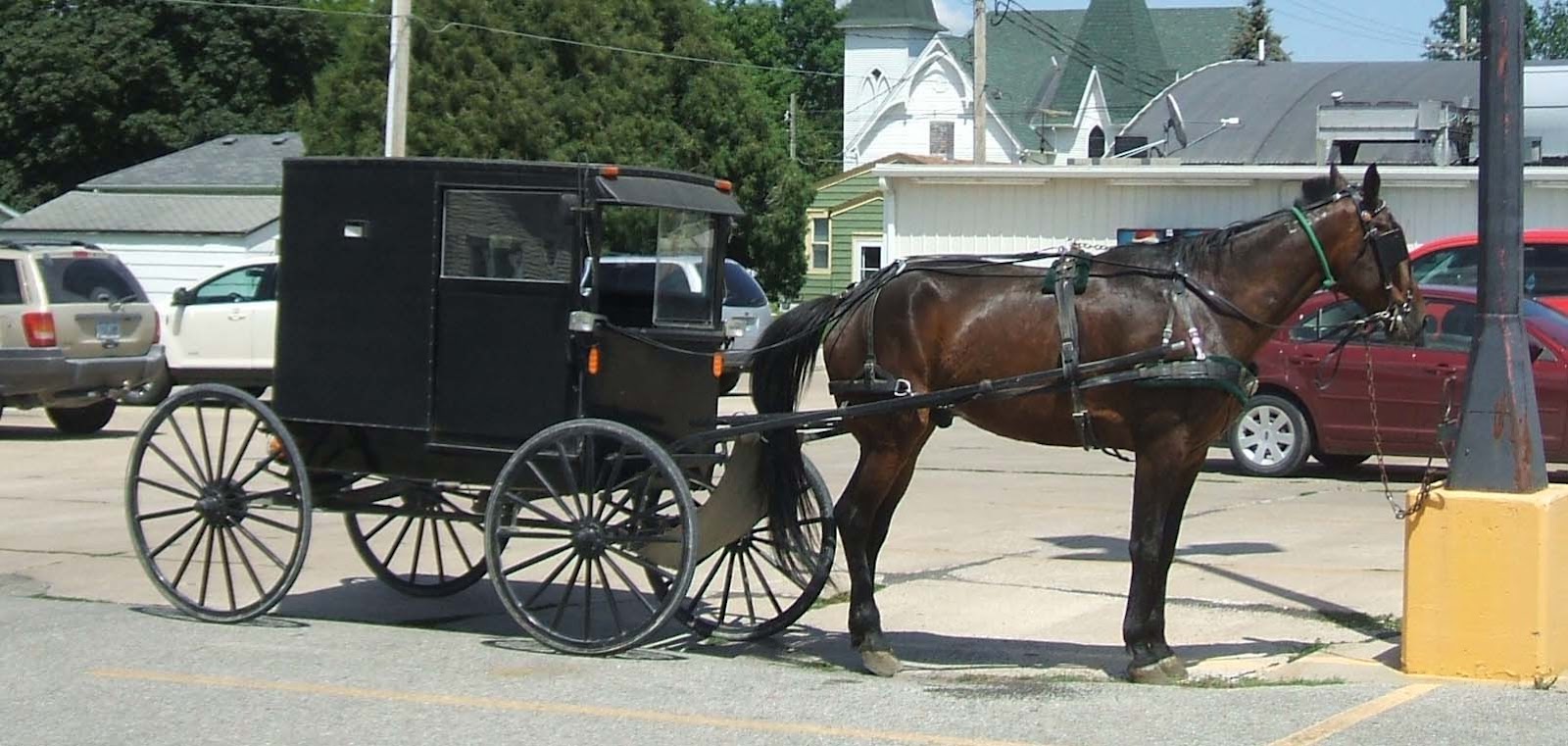 Freedom At 51 Ho Ho Ho Green Giant