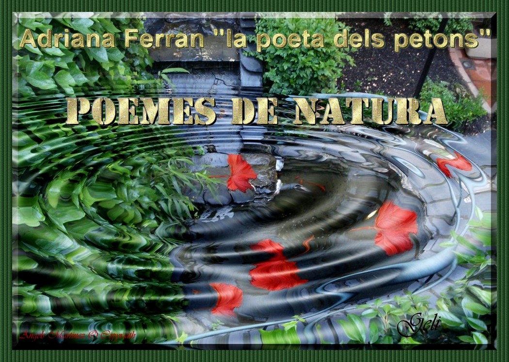 Poemes de Natura per Adriana Ferran