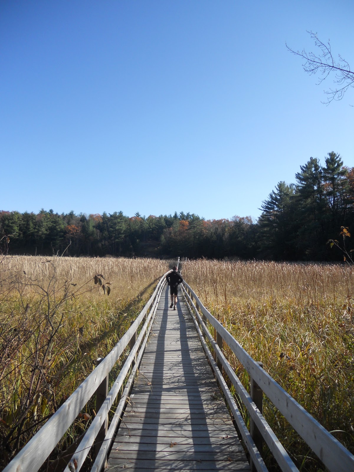 Trail Tripping Jones Creek New Trails!