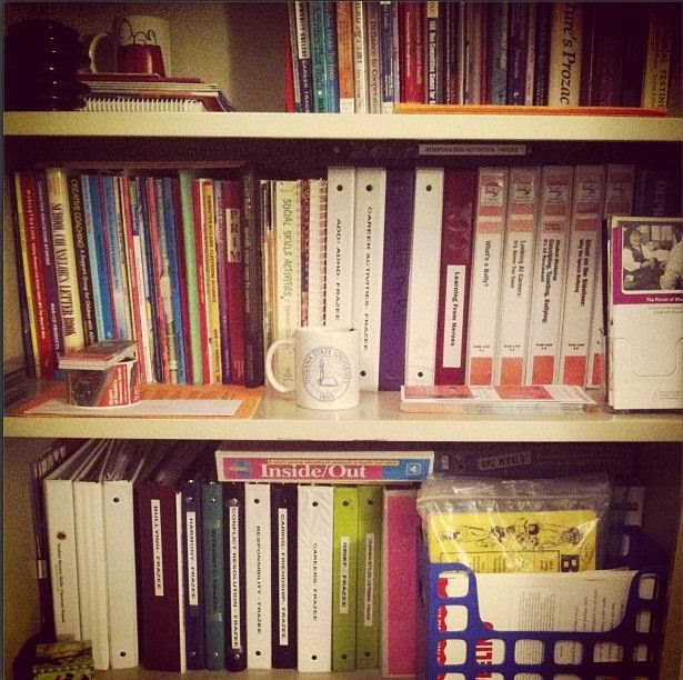 A Fellow School Counselor BINDERS! but maybe too many?