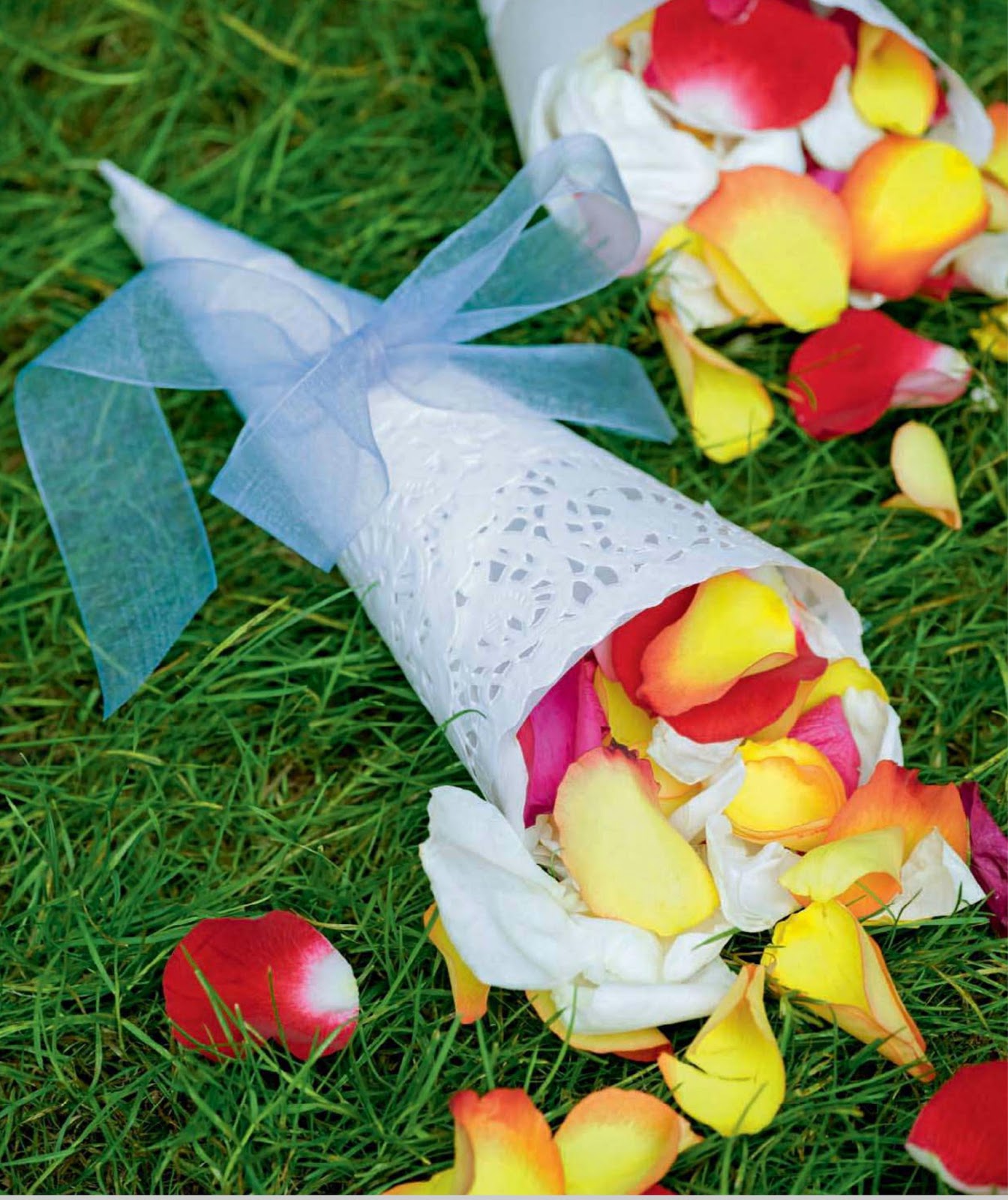 Wedding Invitations How to Make Petal Toss Cone