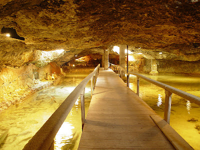 Cova de Ses Llagostes (Aquarium de Es Cap Blanc) Foto: Xescu Prats Aquarium Cap Blanc, Ibiza