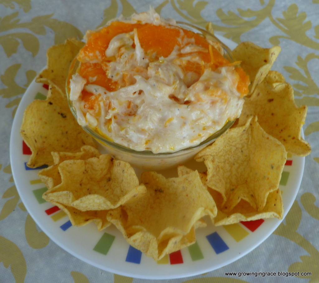 Growing in Grace Cheesy Chicken Dip with Tostitos Chips