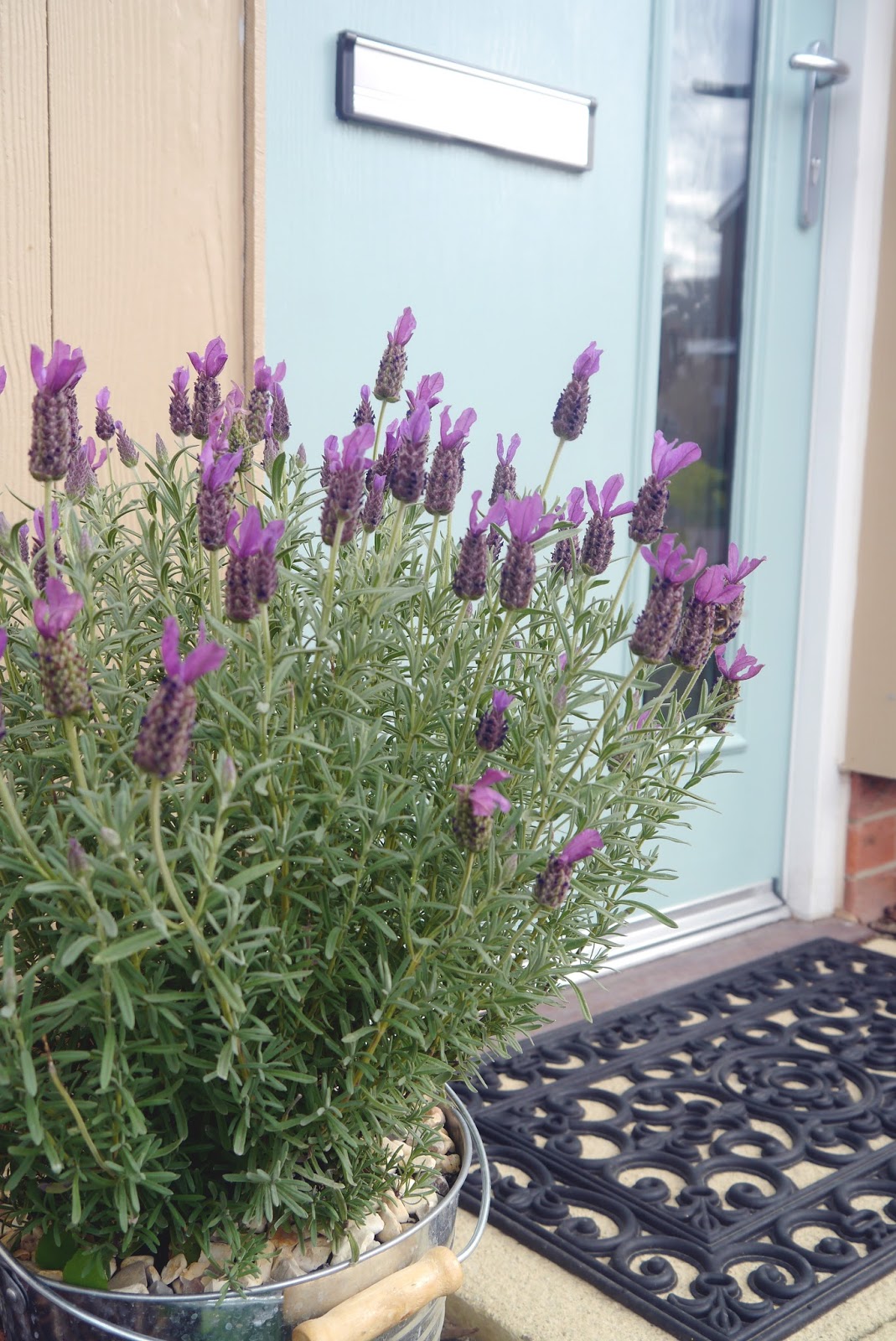 A Summer Front Door Makeover