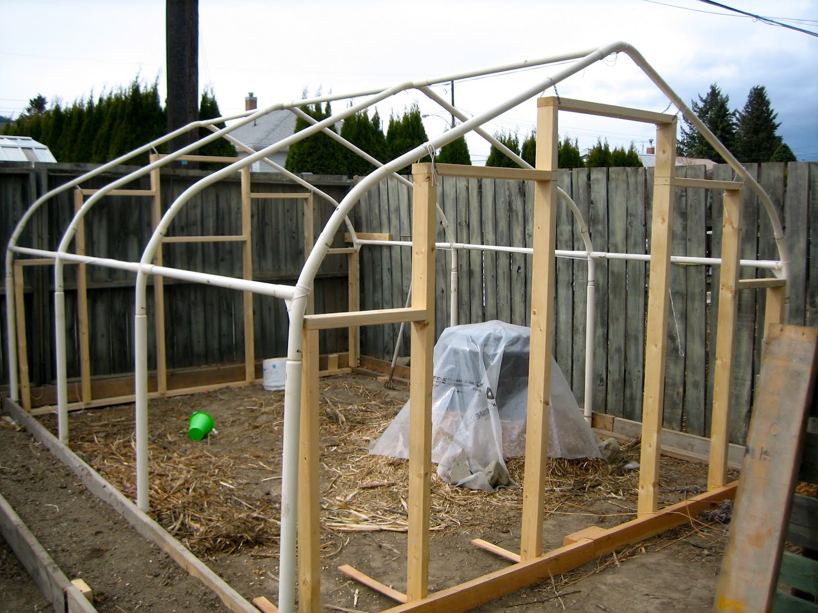 Urban Hens for Kamloops The Green House