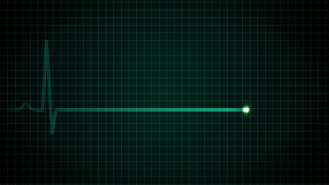 Austra Beat And The Pulse Lyrics Genius Lyrics