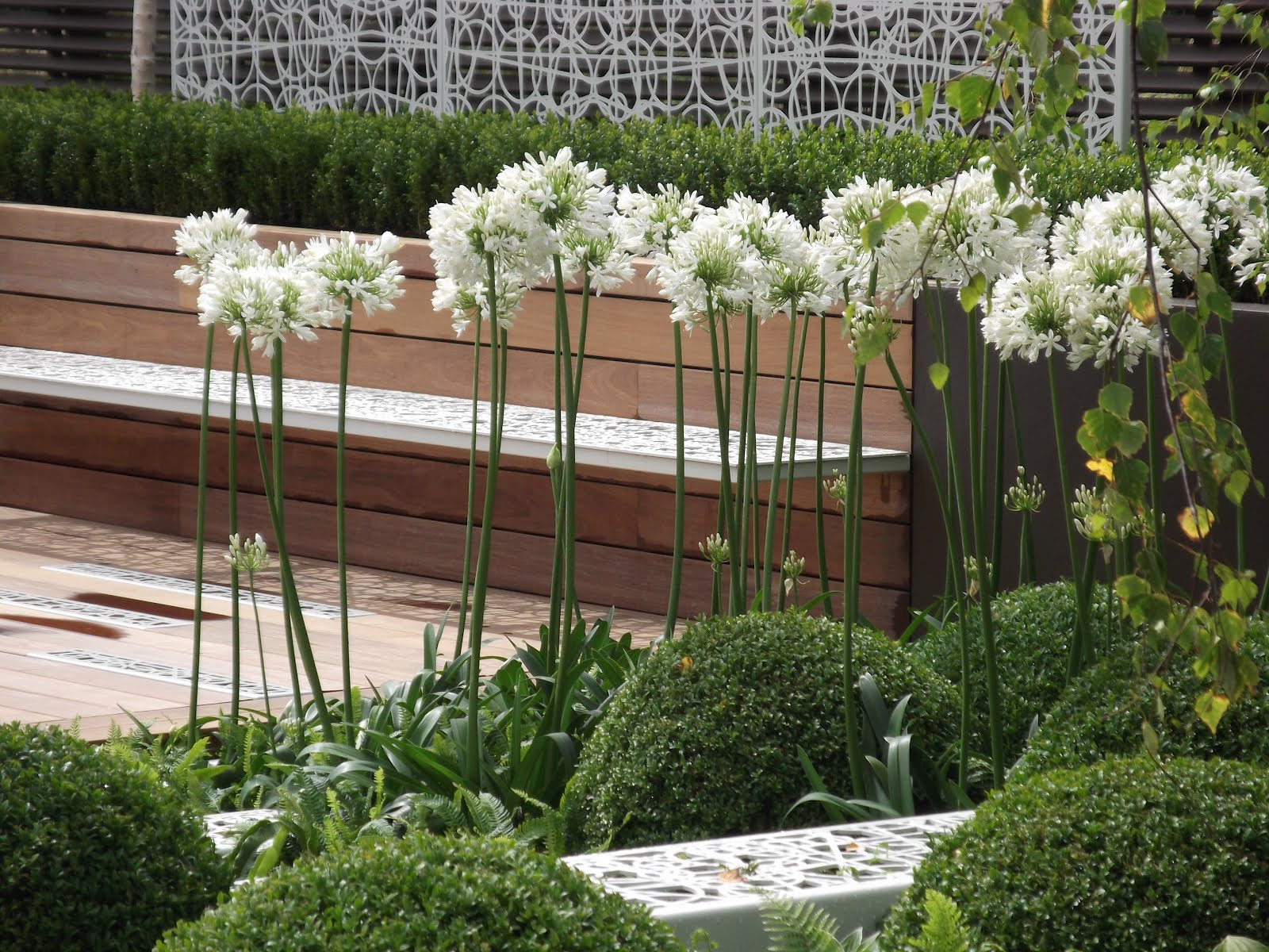 . The Hampton Court Flower Show Visit part 1