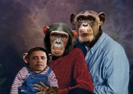 Political Monkey