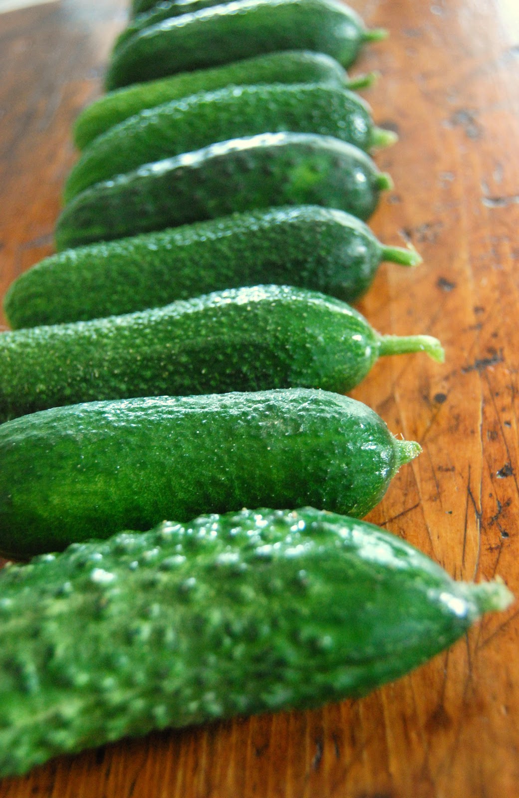 Kirsten's Kitchen of vegan creations Bread and butter pickles