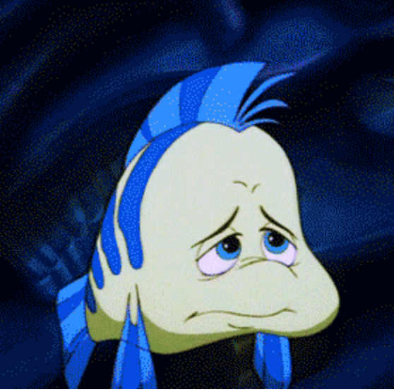 The Middle Flipper The Wisdom and Good Fortune of Bonus Fish