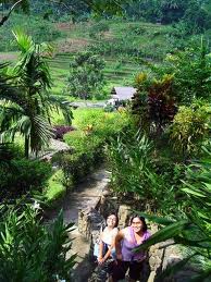 GUNUNG PANCAR : MANDI AIR PANAS YANG MENYEGARKAN ...