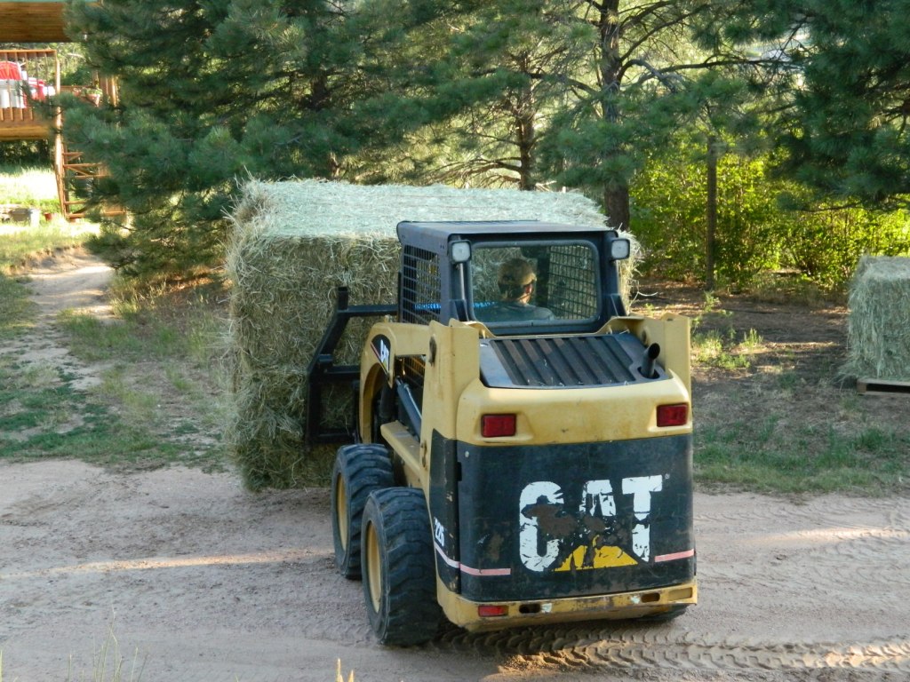 Meanwhile, back at the ranch... Hay! It's Eggstrordinary! We've gone