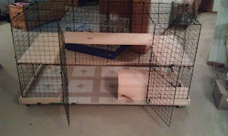 c&c rabbit cage