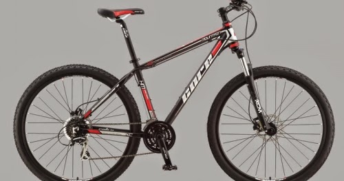 core 29er