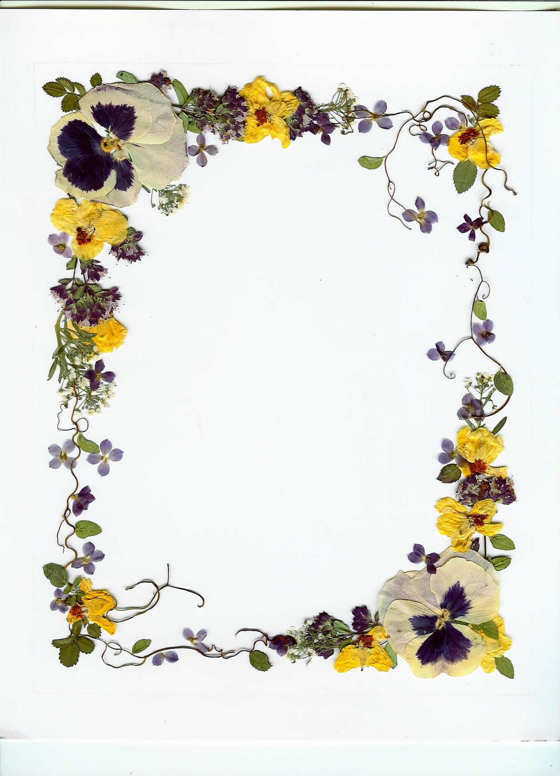 Charlene's Pressed Flower Pictures Original Pressed Flower Art